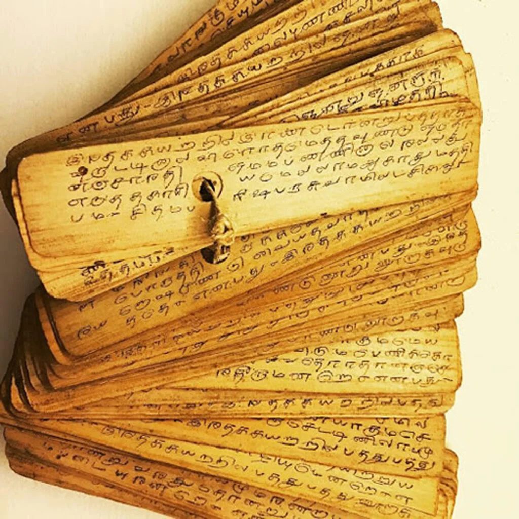 Ancient Palm Leaves